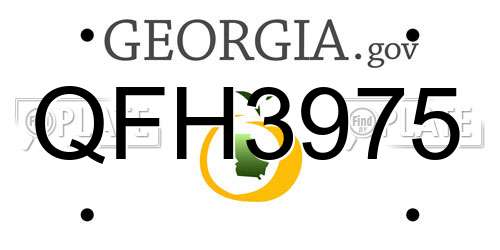 QFH3975 Georgia License Plate