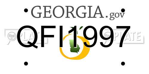 QFI1997 Georgia License Plate