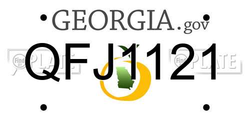 QFJ1121 Georgia License Plate