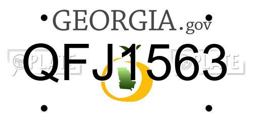 QFJ1563 Georgia License Plate
