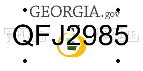 QFJ2985 Georgia License Plate
