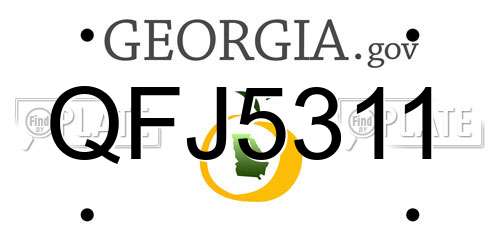 QFJ5311 Georgia License Plate