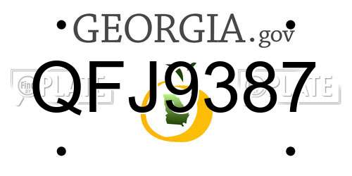 QFJ9387 Georgia License Plate