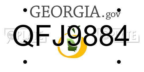 QFJ9884 Georgia License Plate