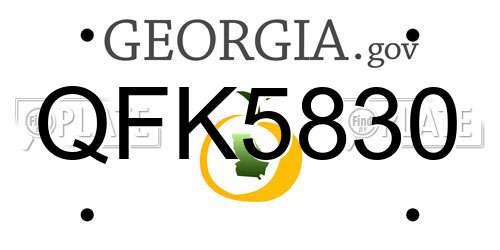 QFK5830 Georgia License Plate
