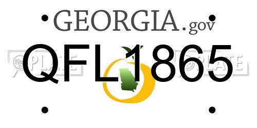 QFL1865 Georgia License Plate