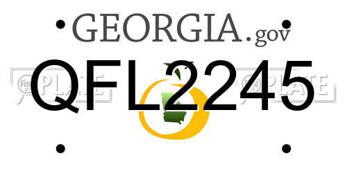 QFL2245 Georgia License Plate
