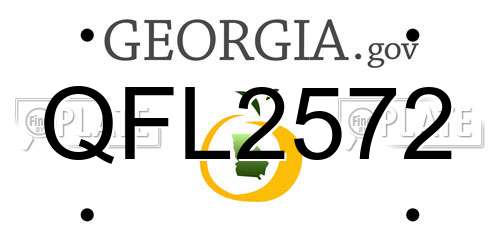 QFL2572 Georgia License Plate