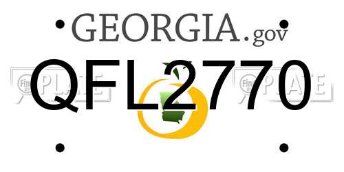 QFL2770 Georgia License Plate