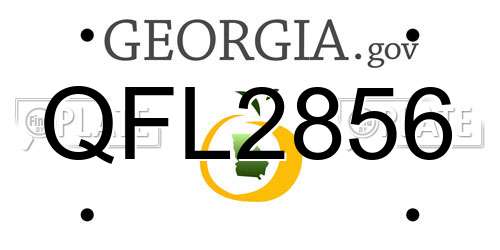 QFL2856 Georgia License Plate