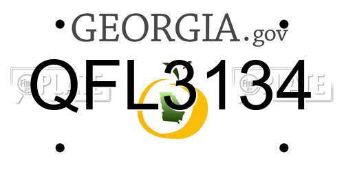 QFL3134 Georgia License Plate