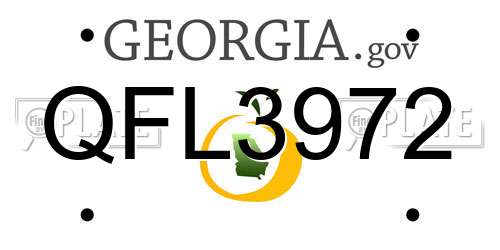 QFL3972 Georgia License Plate