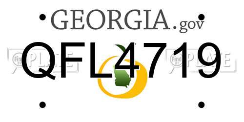 QFL4719 Georgia License Plate