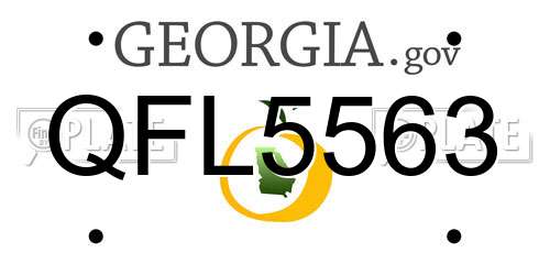 QFL5563 Georgia License Plate