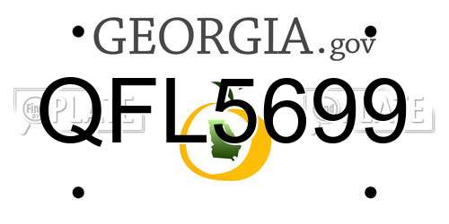 QFL5699 Georgia License Plate