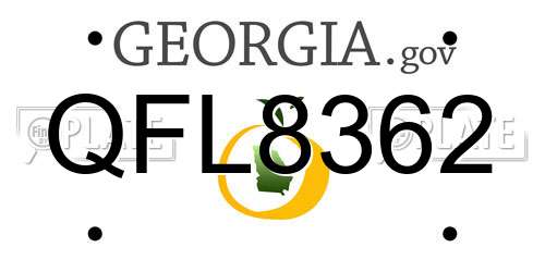 QFL8362 Georgia License Plate