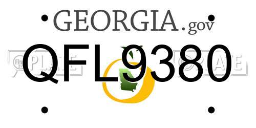 QFL9380 Georgia License Plate