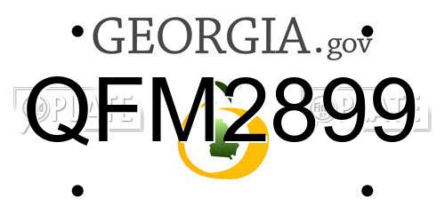 QFM2899 Georgia License Plate