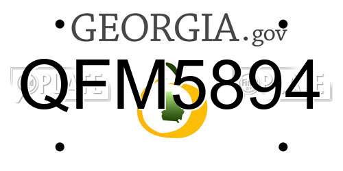 QFM5894 Georgia License Plate