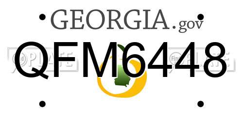 QFM6448 Georgia License Plate