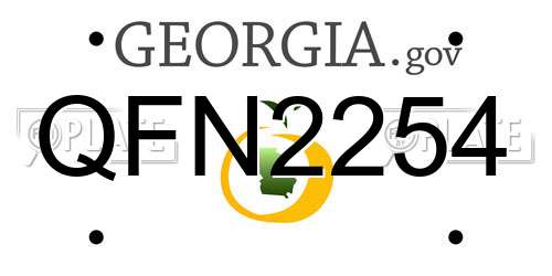 QFN2254 Georgia License Plate