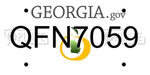 QFN7059 Georgia License Plate