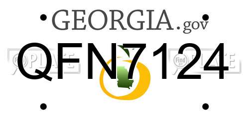 QFN7124 Georgia License Plate