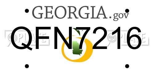 QFN7216 Georgia License Plate
