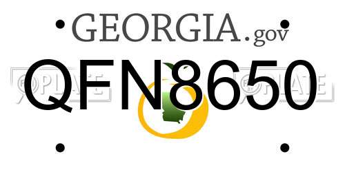 QFN8650 Georgia License Plate