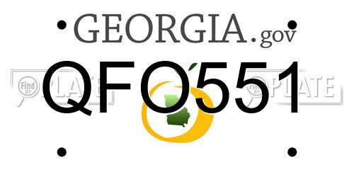 QFO551 Georgia License Plate