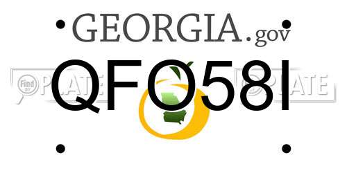 QFO58I Georgia License Plate
