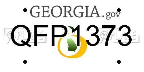 QFP1373 Georgia License Plate