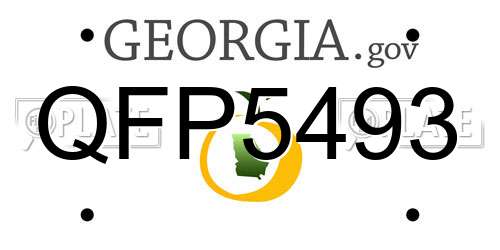 QFP5493 Georgia License Plate