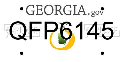QFP6145 Georgia License Plate