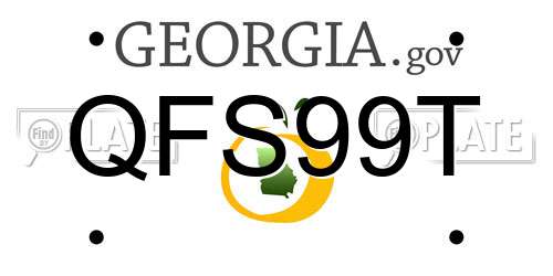 QFS99T Georgia License Plate