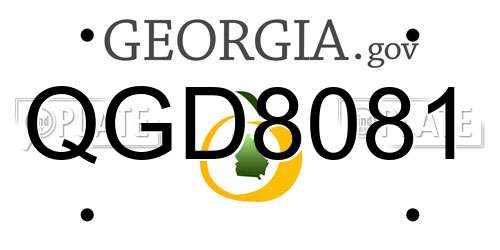 QGD8081 Georgia License Plate