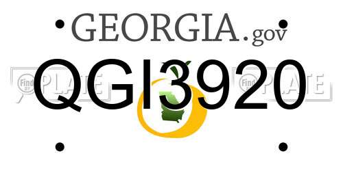 QGI3920 Georgia License Plate