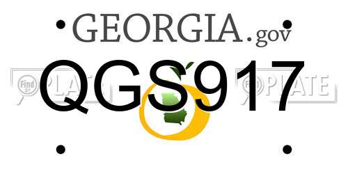 QGS917 Georgia License Plate