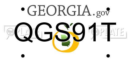QGS91T Georgia License Plate