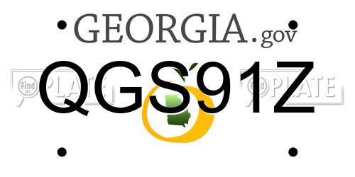 QGS91Z Georgia License Plate