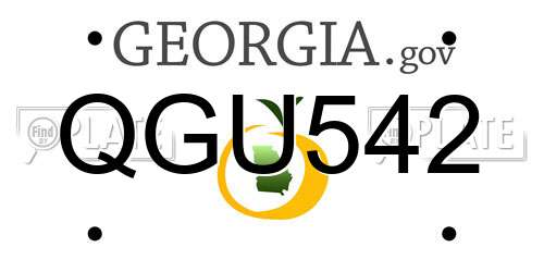 QGU542 Georgia License Plate