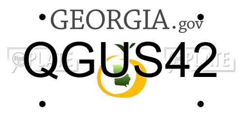 QGUS42 Georgia License Plate