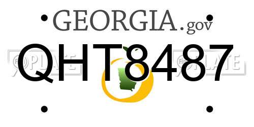 QHT8487 Georgia License Plate