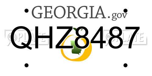 QHZ8487 Georgia License Plate