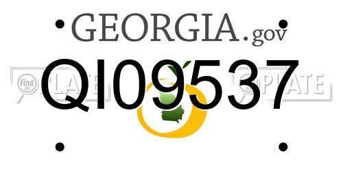 QI09537 Georgia License Plate