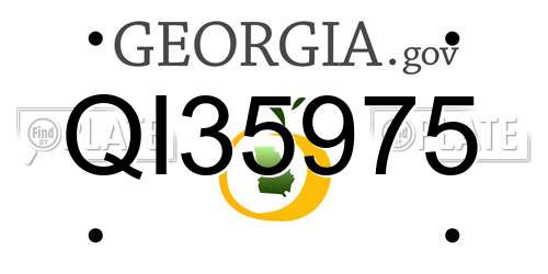 QI35975 Georgia License Plate