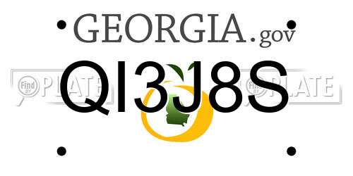 QI3J8S Georgia License Plate