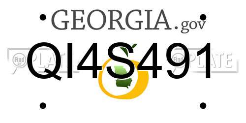 QI4S491 Georgia License Plate
