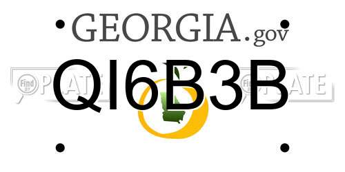 QI6B3B Georgia License Plate