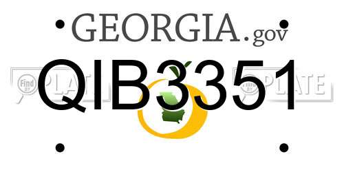 QIB3351 Georgia License Plate